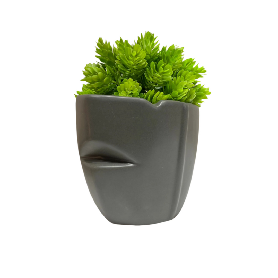 Sculptural Matte Gray Plant Holder