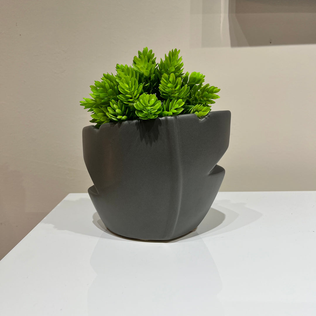 Sculptural Matte Gray Plant Holder