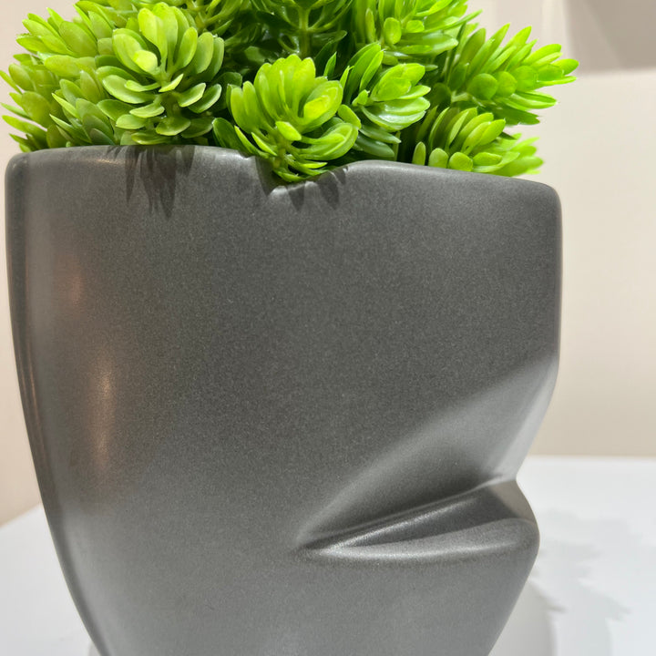 Sculptural Matte Gray Plant Holder